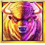 Buffalo