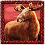 Elk